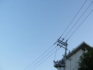 08153s.jpg 800x600 75KB 