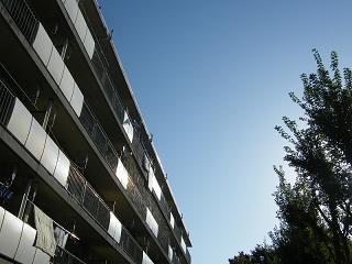 11158s.jpg 800x600 145KB 