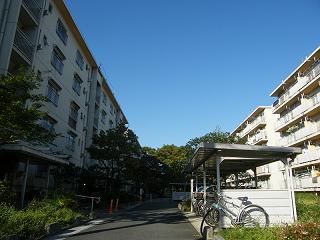 12087s.jpg 800x600 161KB 