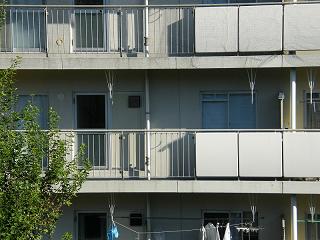 12124s.jpg 800x600 182KB 