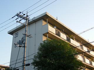 12125s.jpg 800x600 148KB 