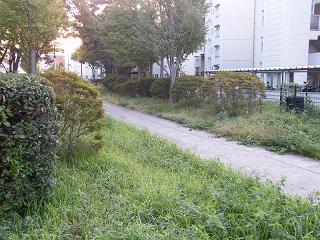 01223s.jpg 800x600 270KB 