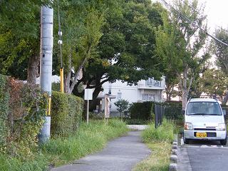 02023s.jpg 800x600 268KB 