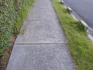 02026s.jpg 800x600 277KB 