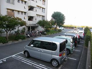 02119s.jpg 800x600 177KB 