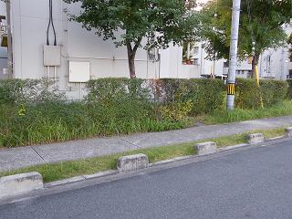 11002s.jpg 800x600 243KB 