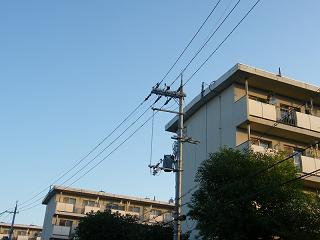 11006s.jpg 800x600 123KB 