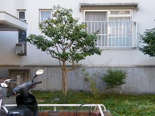 l04001s.jpg 800x600 196KB 