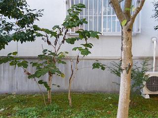 l04004s.jpg 800x600 225KB 