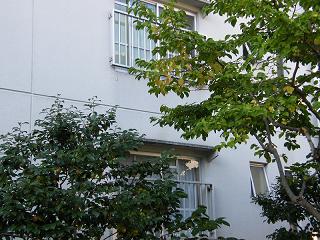 l04005s.jpg 800x600 239KB 