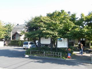 07069s.jpg 800x600 213KB 