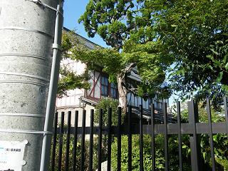 l00006s.jpg 800x600 293KB 