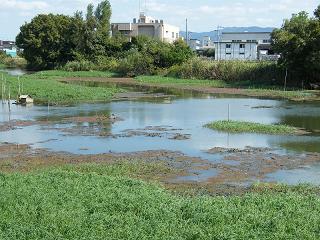 00023s.jpg 800x600 250KB 