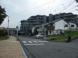 08s.jpg 800x600 166KB 