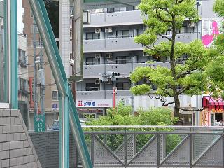 12021s.jpg 800x600 239KB 