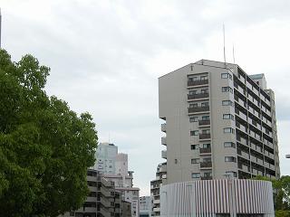 12214s.jpg 800x600 134KB 