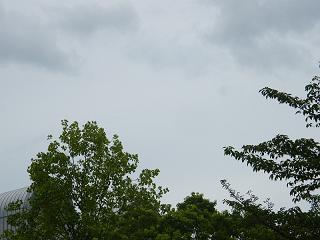 12028s.jpg 800x600 140KB 
