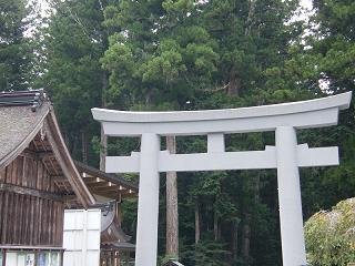 0957s.jpg 800x600 205KB 