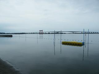 0102s.jpg 800x600 64KB 