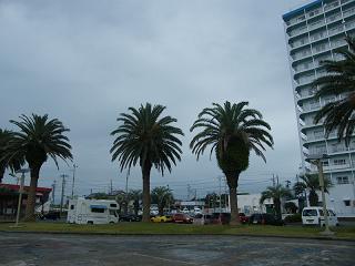 0418s.jpg 800x600 139KB 