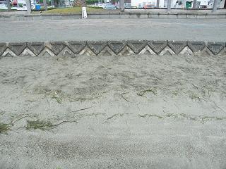 0421s.jpg 800x600 244KB 