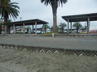 0429s.jpg 800x600 186KB 