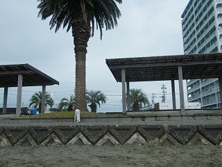 0438s.jpg 800x600 171KB 