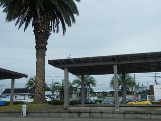 0449s.jpg 800x600 146KB 