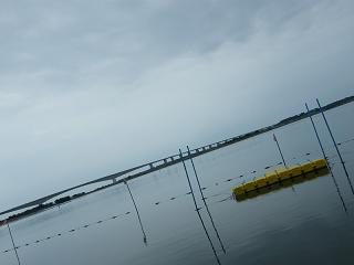 0451s.jpg 800x600 67KB 