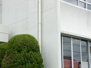 1145s.jpg 800x600 179KB 