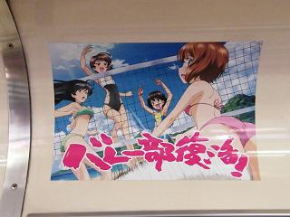 DSCF5878.jpg 800x600 135KB 