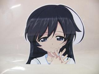 DSCF5885.jpg 800x600 89KB 