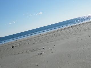 o1014s.jpg 800x600 110KB 