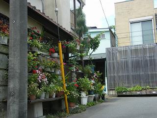 12053s.jpg 800x600 206KB 