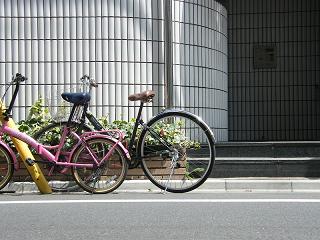 12072s.jpg 800x600 199KB 