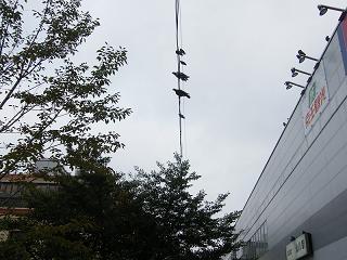 06052s.jpg 800x600 179KB 