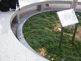 06056s.jpg 800x600 249KB 