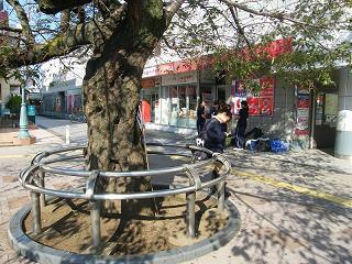 a005s.jpg 800x600 276KB 