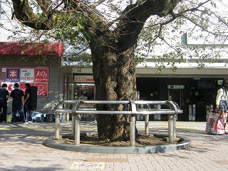 a025s.jpg 800x600 258KB 