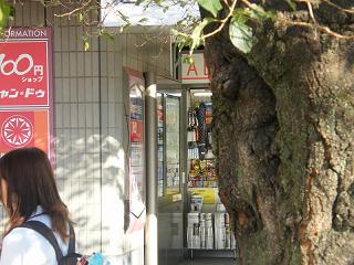 a029s.jpg 800x600 163KB 