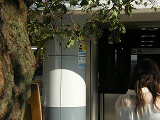 a030s.jpg 800x600 135KB 