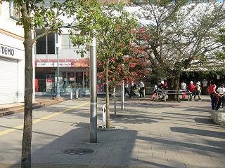 a031s.jpg 800x600 262KB 