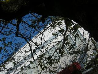 a045s.jpg 800x600 249KB 