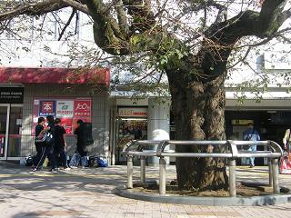 a049s.jpg 800x600 259KB 