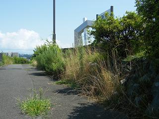 o2055s.jpg 800x600 222KB 