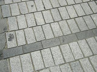o1072s.jpg 800x600 281KB 