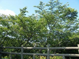 o1040s.jpg 800x600 328KB 