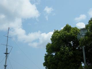 o2117s.jpg 800x600 107KB 