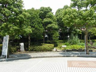 o2118s.jpg 800x600 286KB 