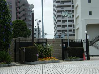 o2125s.jpg 800x600 173KB 
